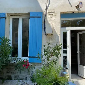 Les Cypres De L'ile Avignon